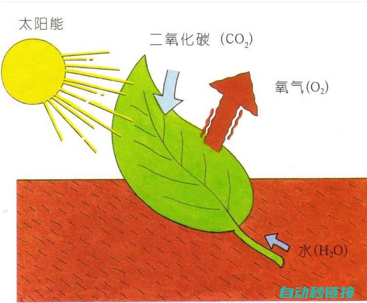 程序功能与使用优势